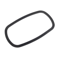 CEDRUS sprayer gasket OP02 070955