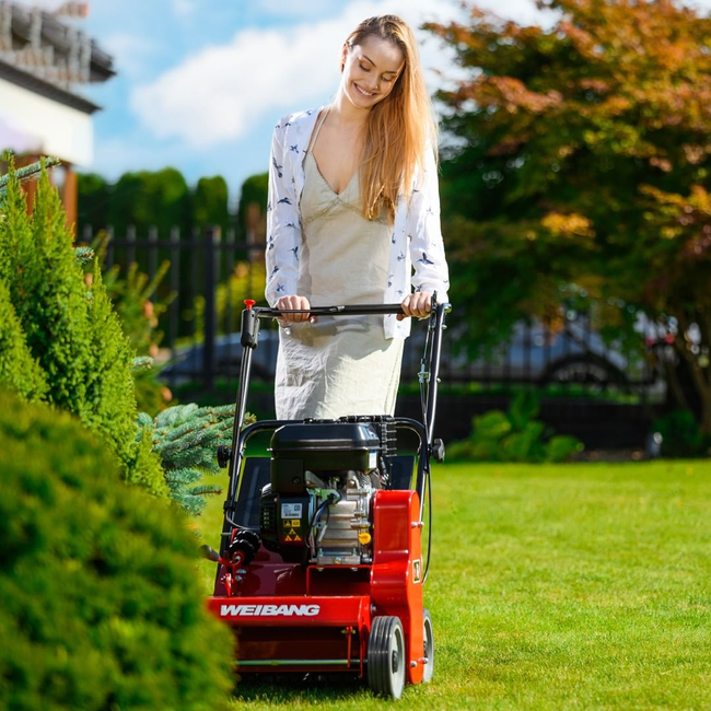 Wertykulator spalinowy Weibang WB384 RB silnik Briggs&Stratton