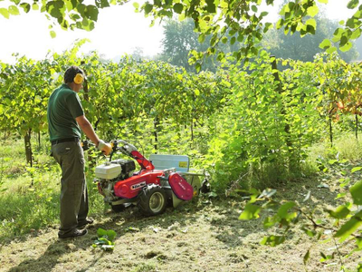 OLEO MAC WB 65 K1100H GRUBBER PROFESSIONAL GARDEN FLAIL LAWN SEKAČKA PREMIUM CLASS 68249023E5 - OFICIÁLNÍ DISTRIBUTOR - AUTORIZOVANÝ PRODEJCE OLEO-MAC