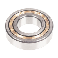 Cedrus compactor eccentric shaft bearing CEDZG03 131593