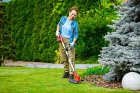 Cedrus Cordless Trimmer CEDST280LI CEDST280LI