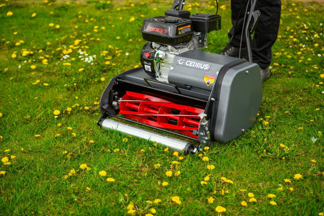 CEDRUS SM42 SPRINNE REEL MOWER 42 cm / 6.5 hp CEDRUS CEDSM42 - OFFICIAL DISTRIBUTOR - AUTHORIZED DEALER CEDRUS