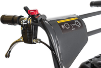 CEDRUS TR300G WOZIDŁO TRANSPORTER BUDOWLANY GĄSIENICOWY OGRODOWY TACZKA WYWROTKA NA GĄSIENICACH - OFICJALNY DYSTRYBUTOR - AUTORYZOWANY DEALER CEDRUS