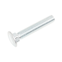 Cedrus diesel vacuum cleaner screw CEDLV58S 9500106