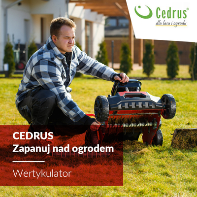 CEDRUS WR02 R DIESEL LAWN SCARIFIER AERATOR 6 KM SWING BLADES - EWIMAX - OFFICIAL DISTRIBUTOR - AUTHORIZED CEDRUS DEALER