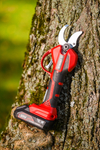 Cedrus cordless pruner with battery and charger CEDBPB40LI-SET CEDBPB40LI-SET