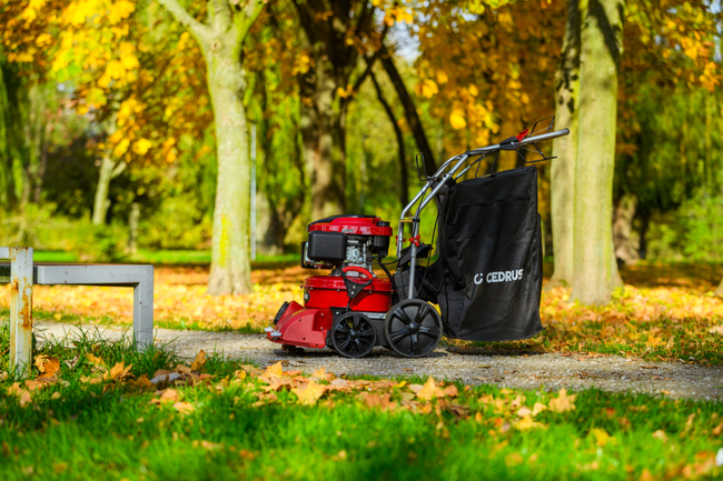 CEDRUS LV58 S PROFESSIONAL CLEANER + 4in1 SPRINEL LEAF VERTICULATOR 4in1 GARDEN DRIVE ROAD DRIVER 2in1 LV58S - OFFICIAL DISTRIBUTOR - AUTHORIZED DEALER CEDRUS