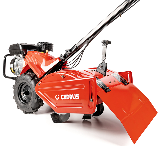 Glebogryzarka z napędem Cedrus GLX-GT65-2BS 6,5KM silnik Briggs