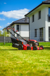 CEDRUS LP53S Premium KOSIARKA SPALINOWA DO TRAWY Z NAPĘDEM 53cm / 5,7 KM CEDLP53S - EWIMAX - OFICJALNY DYSTRYBUTOR - AUTORYZOWANY DEALER CEDRUS
