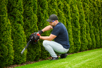 CEDRUS NZ02 SEKATOR SPRINEL SHARPS FOR CRIMINAL TREE AND TREE SHrubs SPRINEL HARVES 61cm - EWIMAX - OFFICIAL DISTRIBUTOR - AUTHORIZED DEALER CEDRUS