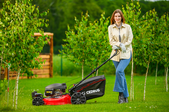 CEDRUS KS51S-H-ZT HONDA KOSIARKA SPALINOWA DO TRAWY Z NAPĘDEM 5w1 51cm / 4.6 KM HONDA GCV170 - EWIMAX - OFICJALNY DYSTRYBUTOR - AUTORYZOWANY DEALER CEDRUS