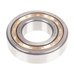 Cedrus compactor eccentric shaft bearing CEDZG03 131593