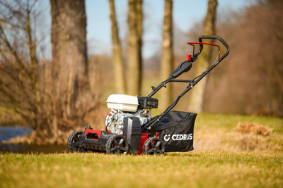 CEDRUS WR01-H WERTYKULATOR SPALINOWY DO TRAWY AREATOR 2w1 6 KM HONDA GP200 - EWIMAX - OFICJALNY DYSTRYBUTOR - AUTORYZOWANY DEALER CEDRUS