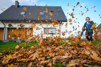 CEDRUS DM05 PRO PROFESSIONAL GARDEN LEAF BLOWER HOOVER - OFICIÁLNÍ DISTRIBUTOR - AUTORIZOVANÝ PRODEJCE CEDRUS