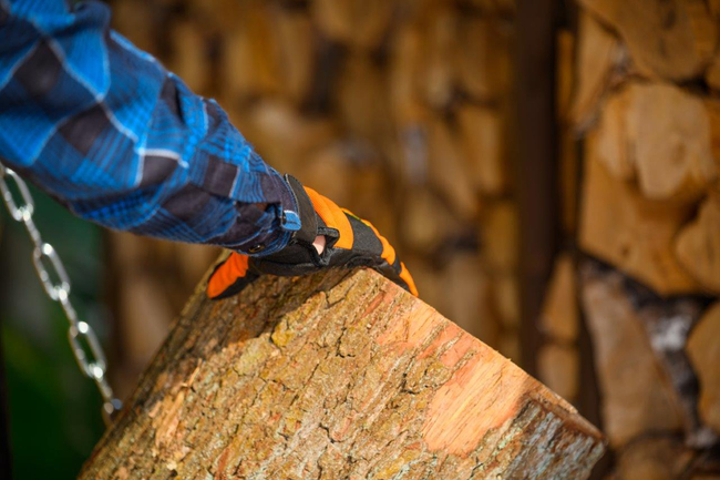 CEDRUS LS10 HYDRAULICKÝ ELEKTRICKÝ ŠTÍPAČ DŘEVA CEDRUS CEDLS10V VERTIKÁLNÍ ŠTÍPAČ TLAK 22 TUN - EWIMAX - OFICIÁLNÍ DISTRIBUTOR - AUTORIZOVANÝ PRODEJCE CEDRUS