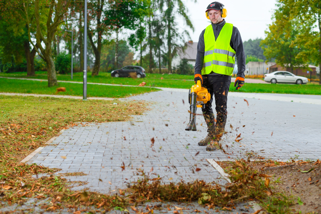 CEDRUS DM03 2-in-1 GARDEN SPRINAL VACUUM CLEANER - OFFICIAL DISTRIBUTOR - AUTHORIZED DEALER CEDRUS