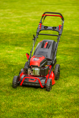 CEDRUS KS53S MOTORIZOVANÁ SEKÁČKA NA VÍNU 53cm / 5,7 HP - EWIMAX - OFICIÁLNÍ DISTRIBUTOR - AUTORIZOVANÝ PRODEJCE CEDRUS