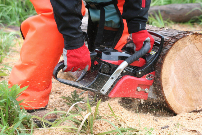 MARUYAMA MCV3501S SPRINKLING LANDSCAPE Saw 1,9hp / 40cm