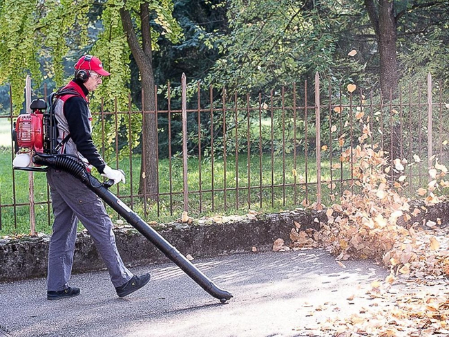 CIFARELLI BL1200 LEAF BLOWER VACUUM CLEANER BL 1200 GARDEN PROFI PROFESSIONAL - OFFICIAL DISTRIBUTOR - AUTHORIZED CIFARELLI DEALER
