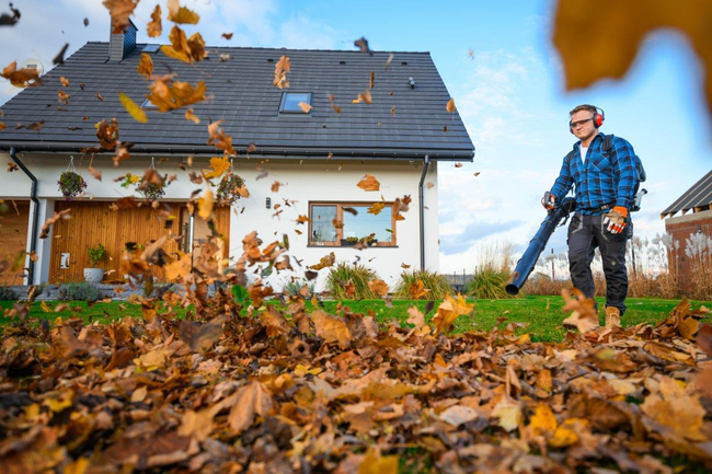 CEDRUS DM05 PRO PROFESSIONAL GARDEN LEAF BLOWER HOOVER - OFICIÁLNÍ DISTRIBUTOR - AUTORIZOVANÝ PRODEJCE CEDRUS