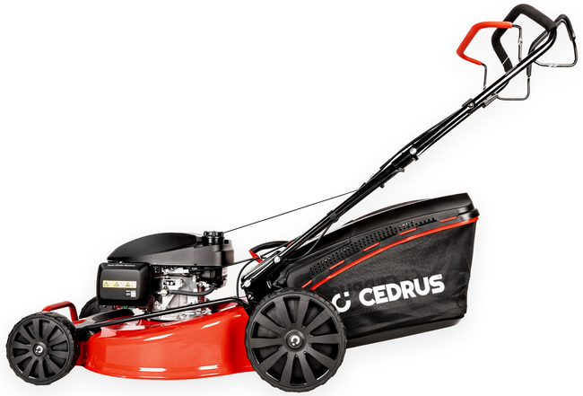 CEDRUS KS56S-H HONDA KOSIARKA SPALINOWA DO TRAWY CEDRUS KS56S-H Z NAPĘDEM 5w1 56cm / 5.6 KM HONDA GCV200 - EWIMAX - OFICJALNY DYSTRYBUTOR - AUTORYZOWANY DEALER CEDRUS