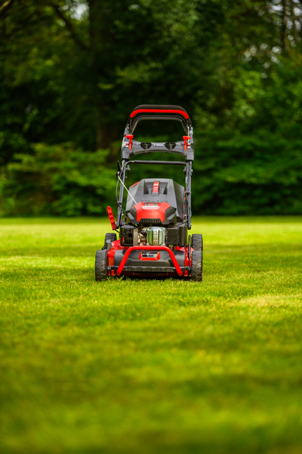 CEDRUS KS53S MOTORIZOVANÁ SEKÁČKA NA VÍNU 53cm / 5,7 HP - EWIMAX - OFICIÁLNÍ DISTRIBUTOR - AUTORIZOVANÝ PRODEJCE CEDRUS