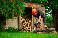 CEDRUS PS40-16T PETROL CHAIN SAW OREGON / WALBRO 2 KM - EWIMAX - OFFICIAL DISTRIBUTOR - AUTHORIZED CEDRUS DEALER