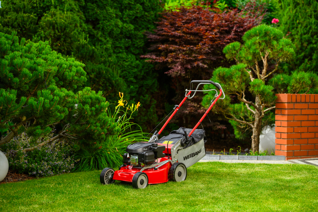 WEIBANG WB455SC 3W1 MOTORIZED VERTICAL MOWER 3.5 HP / 45cm - OFFICIAL DISTRIBUTOR - AUTHORIZED WEIBANG DEALER