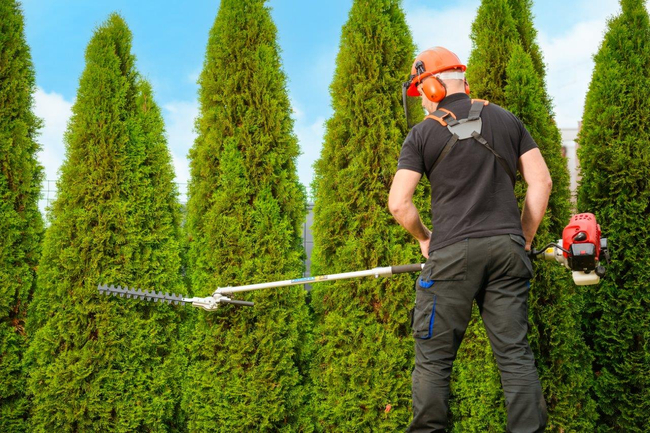 CEDRUS UW520 PETROL LAWN MOWER CHAINSAW PRUNER MULTI-PURPOSE MACHINE TRIMMER MOWER 1.8 KM 