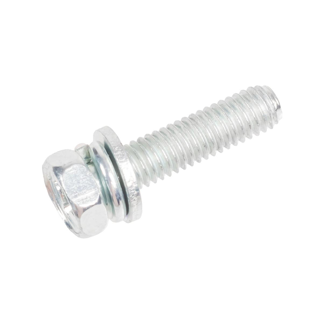 Oil pan bolt CEDRUS foot ST0 070605