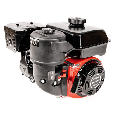 Motor WM170F/P CEDRUS soil planter GL10 T010330199