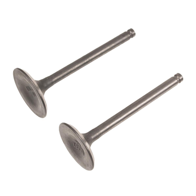 Rato valves R300 engine R210Di 12110-Z810120-00A9