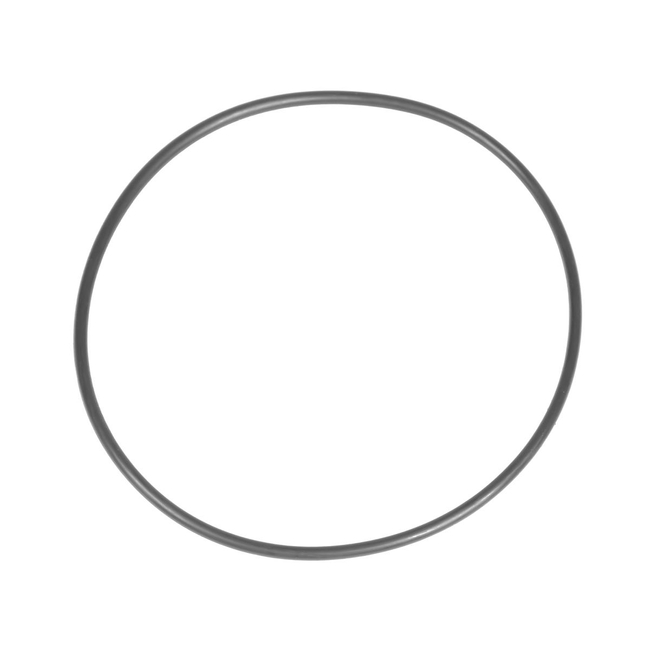 Oring Cedrus pressure washer CEDMC150 560308