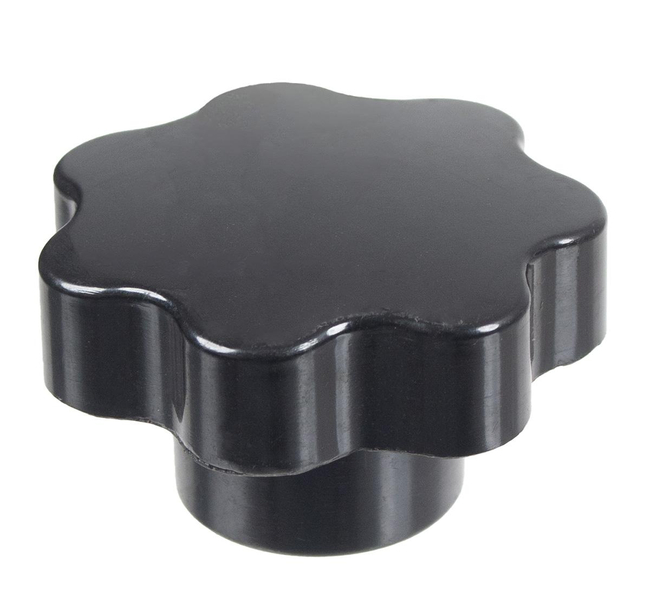 Cedrus seeder nut CEDRTJ02 97878