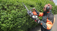 OLEO MAC HC 247 P HEDGE TRIMMER SHRUB SHEAR BUSHES PETROL POWER 1.0 KM PREMIUM CLASS 58099020E2 EWIMAX-OFFICIAL DISTRIBUTOR - AUTHORIZED OLEO-MAC DEALER