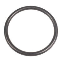 Cedrus gasket submersible pump PZ500 550031