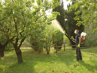 OLEO MAC MB800 BACKPACK GASOLINE TURBINE SPRAYER 14L 5KM OLEO MB 800 PREMIUM 365280020E1C OFFICIAL DISTRIBUTOR - AUTHORIZED OLEO-MAC DEALER