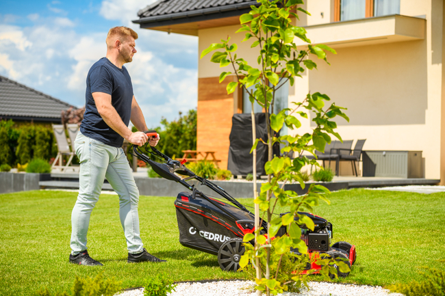 CEDRUS KS53S-L KOSIARKA SPALINOWA DO TRAWY Z NAPĘDEM LONCIN LC1P70FC 53cm / 6,5 KM - EWIMAX - OFICJALNY DYSTRYBUTOR - AUTORYZOWANY DEALER CEDRUS