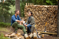 FISKARS X17 WOOD SPLITING SIXER Fiskars X17 M 1015641 - OFFICIAL DISTRIBUTOR - AUTHORIZED DEALER FISKARS