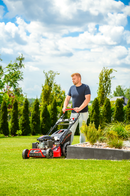 CEDRUS KS53S-L SPRINAL MOWER WITH LONCIN MOTOR LC1P70FC 53cm / 6,5 HP - EWIMAX - OFFICIAL DISTRIBUTOR - AUTHORIZED DEALER CEDRUS