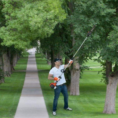 OLEO-MAC PPH250 POLE PRUNING SAW CHAIN SAW POLE PRUNER PPH 250 - OFFICIAL DISTRIBUTOR - AUTHORIZED OLEO MAC DEALER