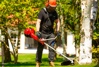 CEDRUS WK430X BENZÍNOVÁ SEKAČKA NA TRÁVU 1,8 KM EWIMAX - OFICIÁLNÍ DISTRIBUTOR - AUTORIZOVANÝ PRODEJCE CEDRUS