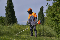 JEDNOSTKA NAPĘDOWA BCI 530D 56V 54329001