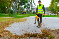 CEDRUS DM03 2v1 SPRINNER GARDEN CLEANER - OFICIÁLNÍ DISTRIBUTOR - AUTORIZOVANÝ PRODEJCE CEDRUS