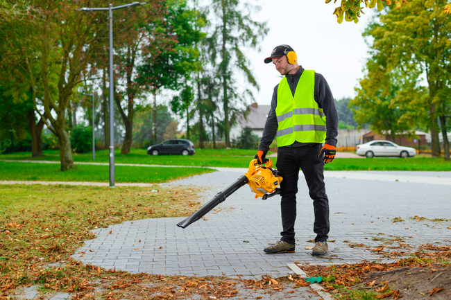 CEDRUS DM03 2-in-1 GARDEN SPRINAL VACUUM CLEANER - OFFICIAL DISTRIBUTOR - AUTHORIZED DEALER CEDRUS