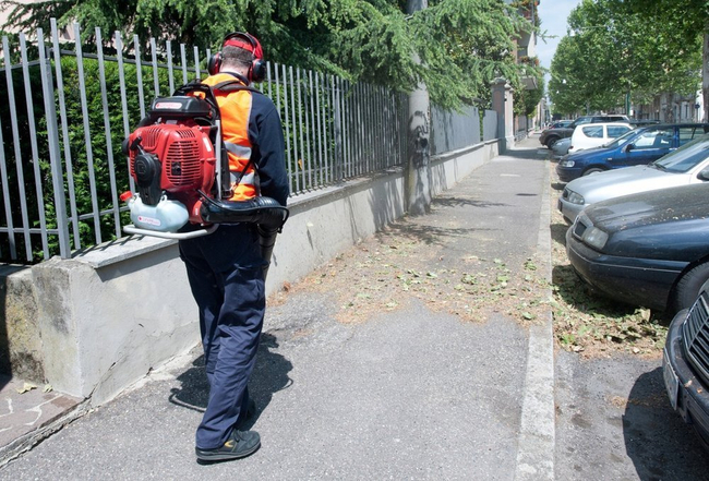 CIFARELLI BL1200 DMUCHAWA DO LIŚCI ODKURZACZ SPALINOWY BL 1200 OGRODOWY PROFI PROFESJONALNY - OFICJALNY DYSTRYBUTOR - AUTORYZOWANY DEALER  CIFARELLI