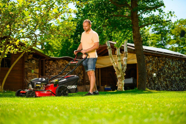 CEDRUS KS53S-H ALUMINIUM MOWER WITH HONDA GCV200 5in1 53cm / 4.1 HP - EWIMAX - OFFICIAL DISTRIBUTOR - AUTHORIZED DEALER CEDRUS