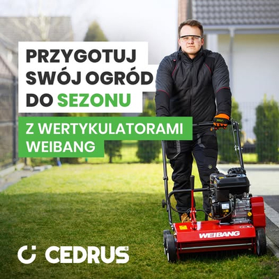 Wertykulator spalinowy Weibang WB384 RB silnik Briggs&Stratton