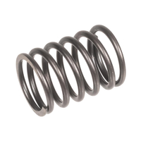 Valve spring Rato engine R60i 12103-Z900110-00A0