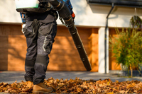 CEDRUS DM05 PRO PROFESSIONAL GARDEN LEAF BLOWER VACUUM CLEANER - OFFICIAL DISTRIBUTOR - AUTHORIZED CEDRUS DEALER